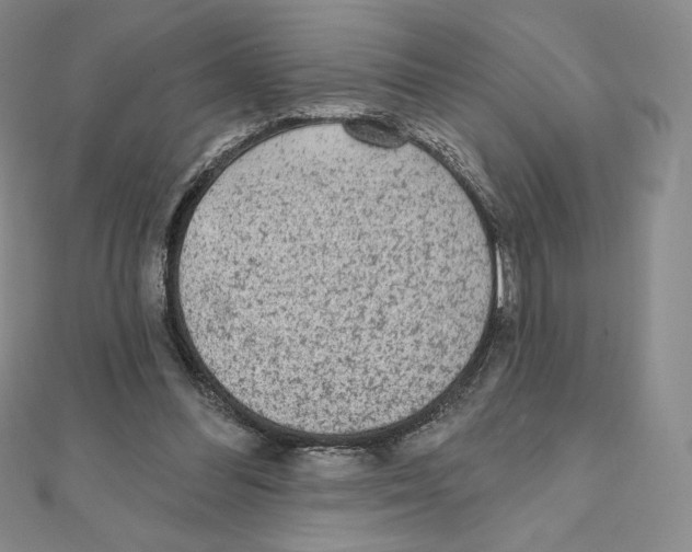 X0000111130300200907281057
