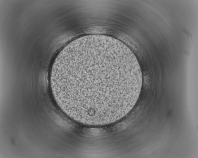 X0000111130302200907281057