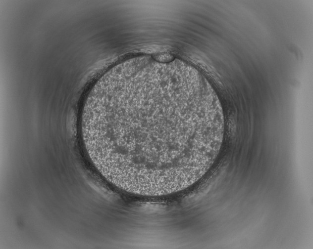X0000111130303200907281057