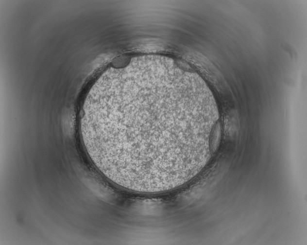 X0000111130304200907281057
