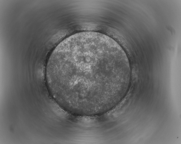 X0000111130305200907281057