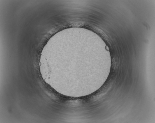 X0000111130307200907281056