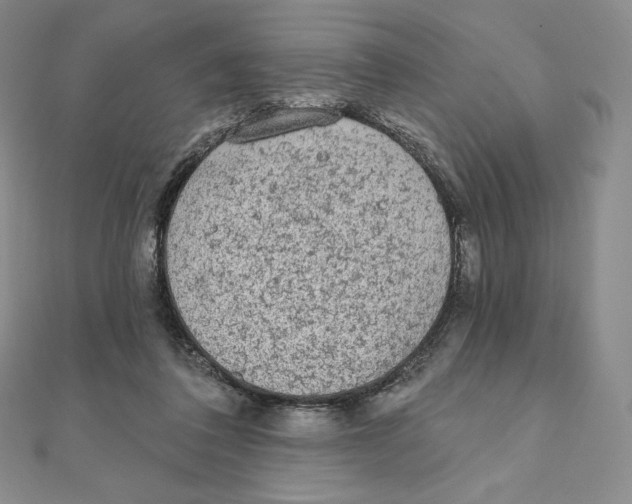 X0000111130308200907281056