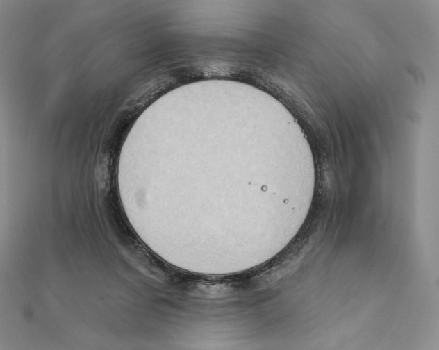 X0000111130311200907281056