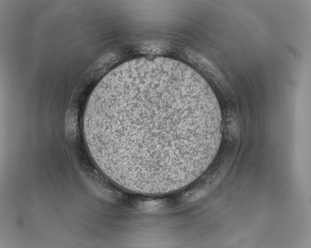 X0000111130312200907281056