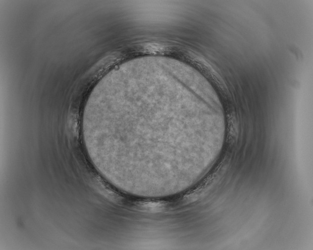 X0000111130313200907281056
