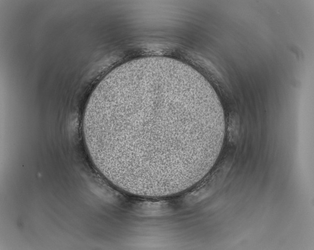 X0000111130314200907281056