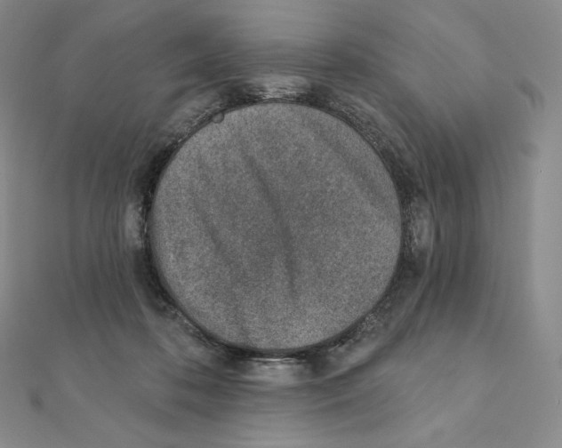 X0000111130316200907281056