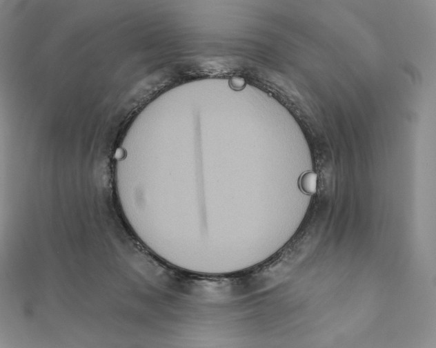 X0000111130317200907281056