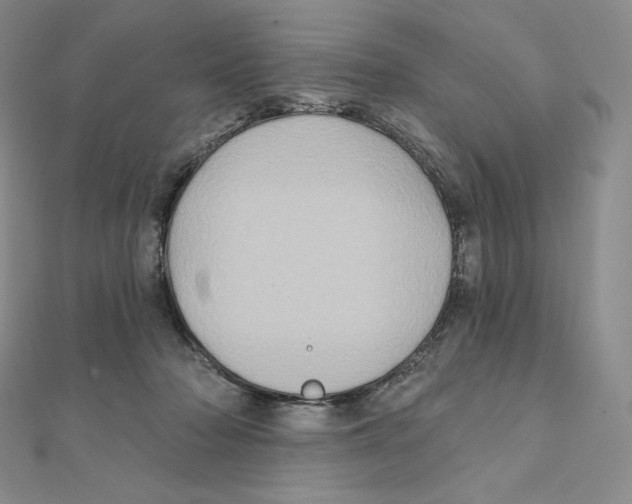 X0000111130318200907281056