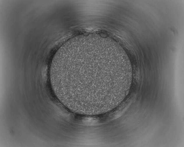 X0000111130319200907281056