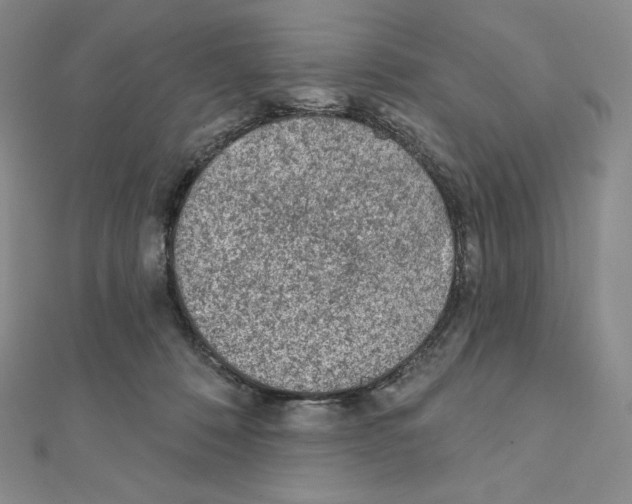 X0000111130320200907281056