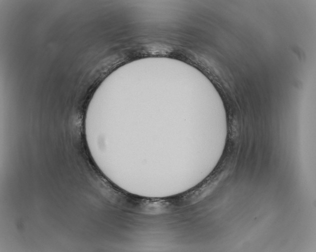 X0000111130321200907281056