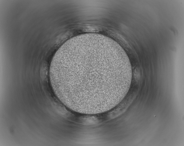 X0000111130322200907281056