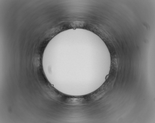 X0000111130323200907281056