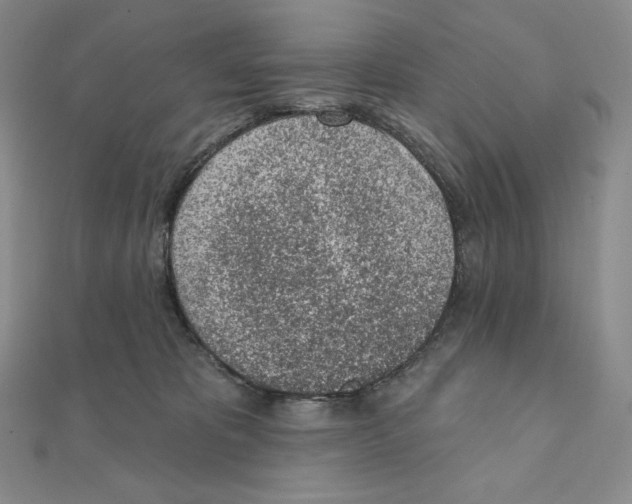X0000111130325200907281056