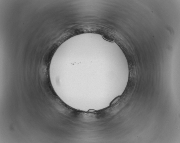 X0000111130327200907281056