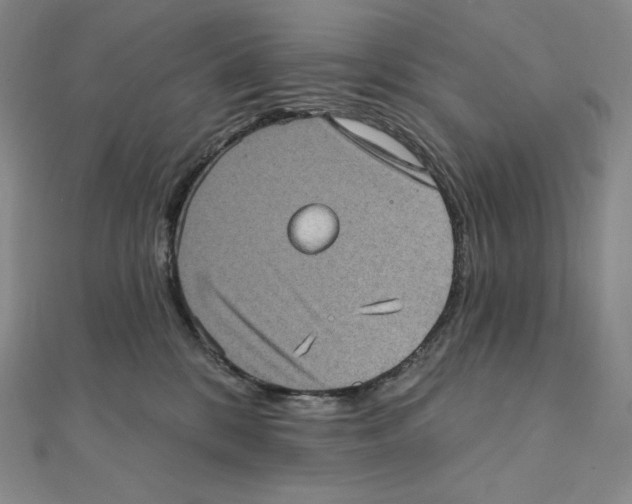 X0000111130328200907281056