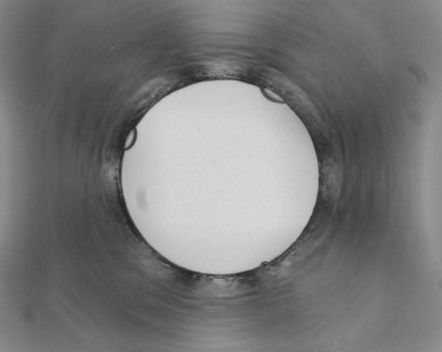 X0000111130329200907281056