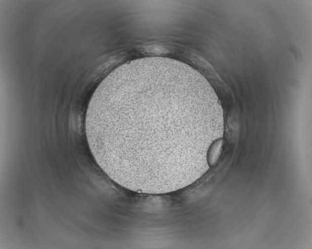 X0000111130330200907281056