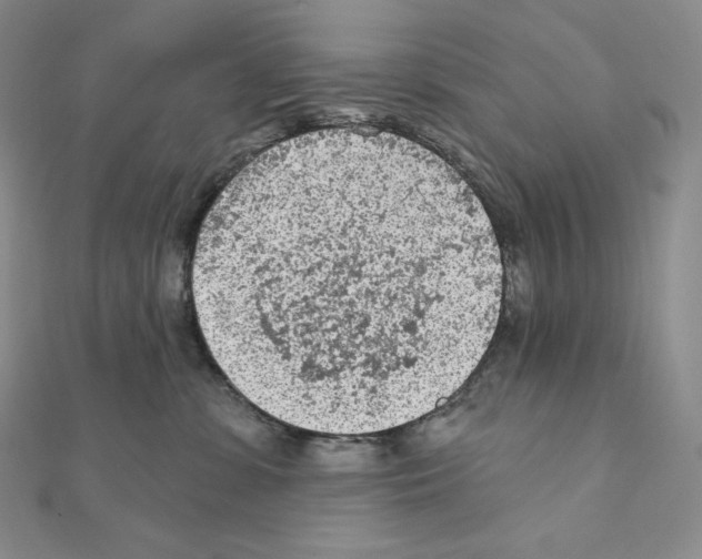 X0000111130331200907281056