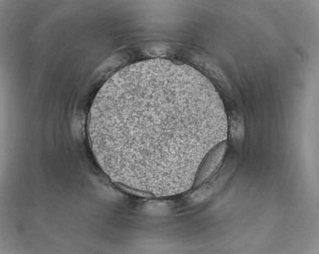 X0000111130332200907281056