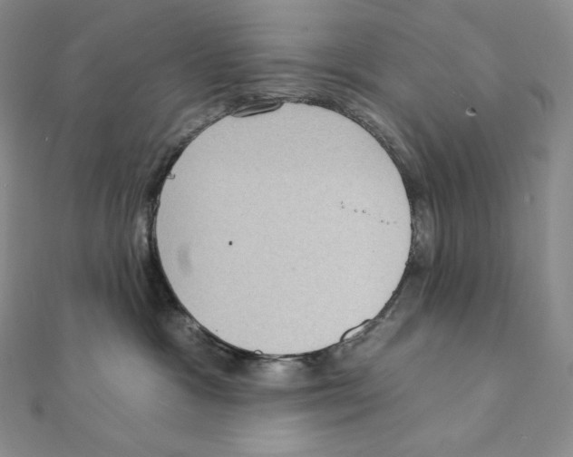 X0000111130333200907281056