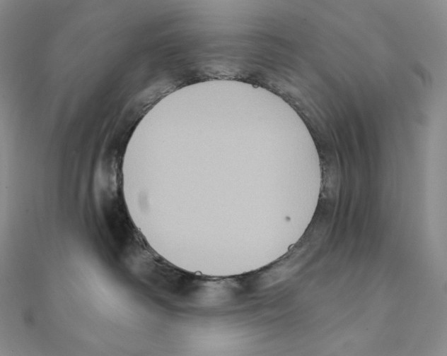 X0000111130334200907281056