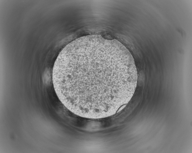 X0000111130335200907281056