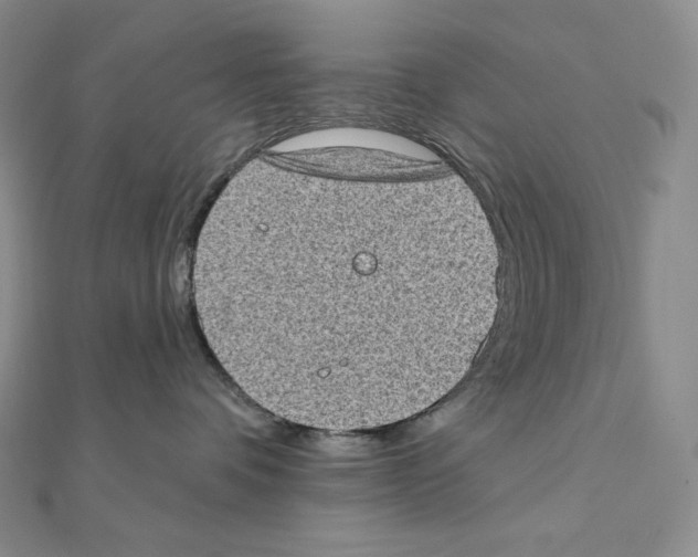X0000111130336200907281056