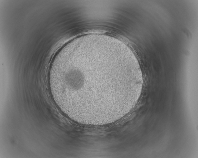 X0000111130337200907281055