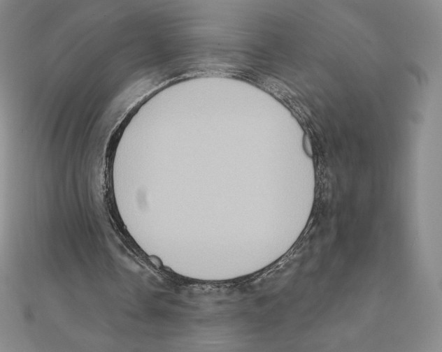X0000111130338200907281056