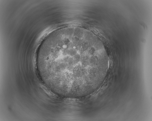 X0000111130339200907281056