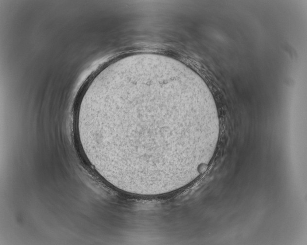 X0000111130342200907281056