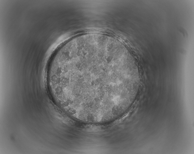X0000111130343200907281056