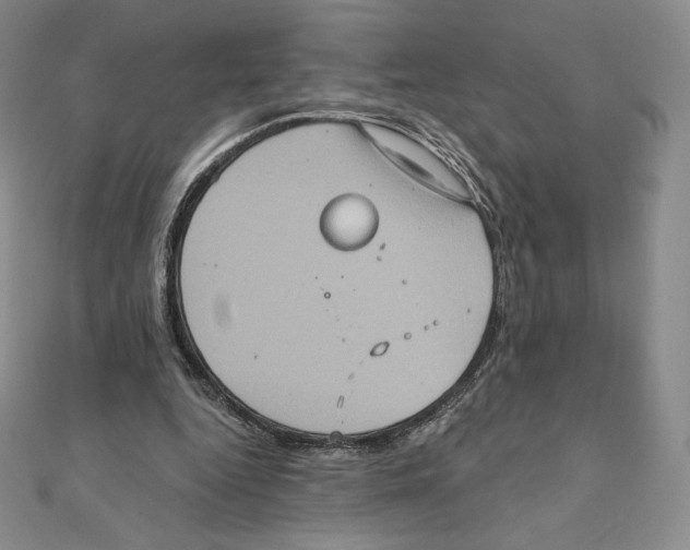X0000111130344200907281056