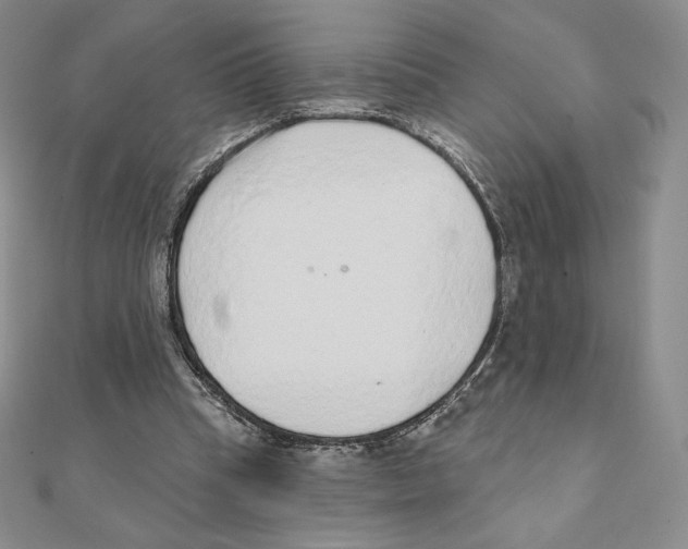 X0000111130345200907281056