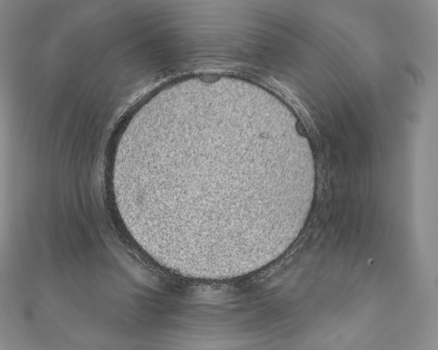 X0000111130346200907281056