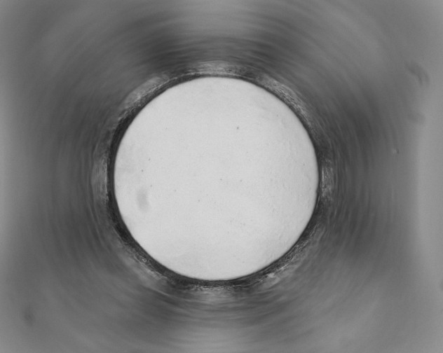 X0000111130349200907281056