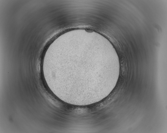 X0000111130350200907281056