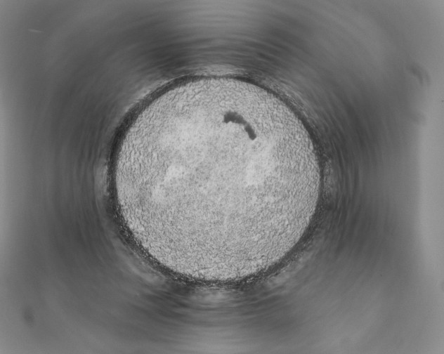 X0000111130351200907281056