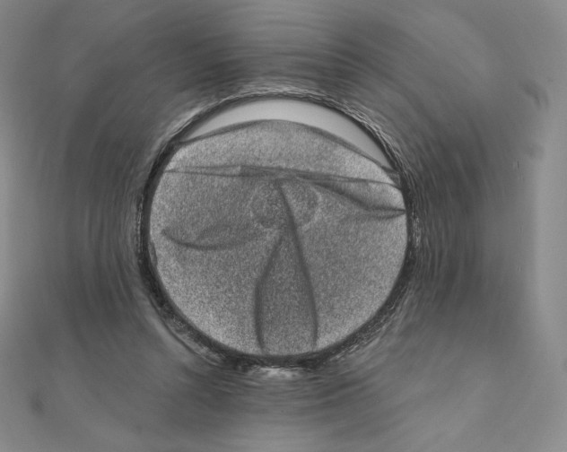 X0000111130352200907281056
