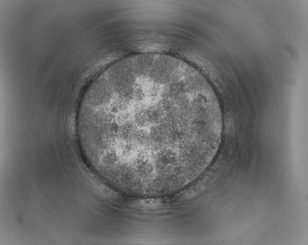 X0000111130353200907281056