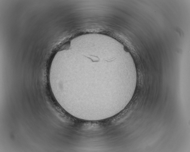X0000111130354200907281056