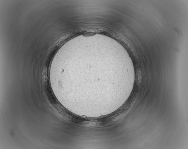 X0000111130356200907281056