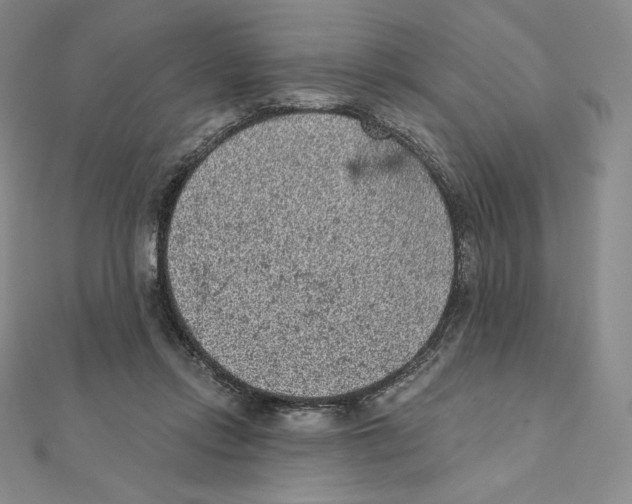 X0000111130358200907281056