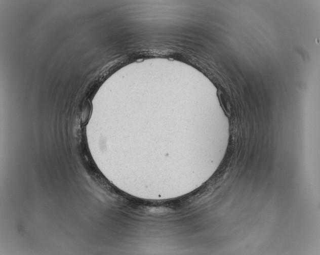 X0000111130360200907281056