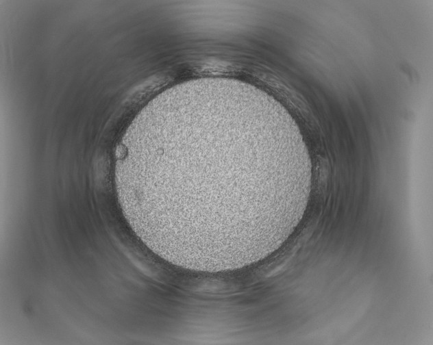 X0000111130361200907281056