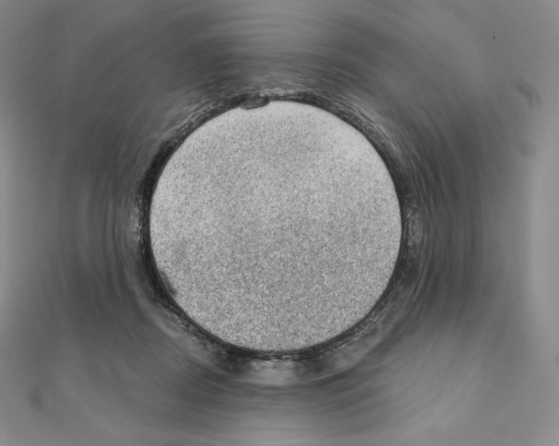 X0000111130362200907281056