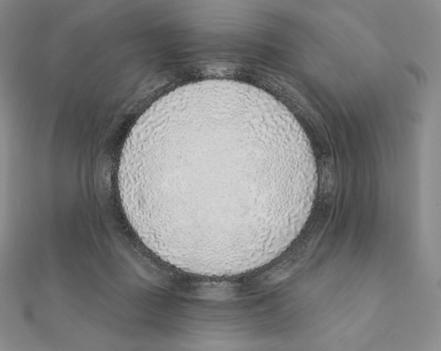 X0000111130363200907281056